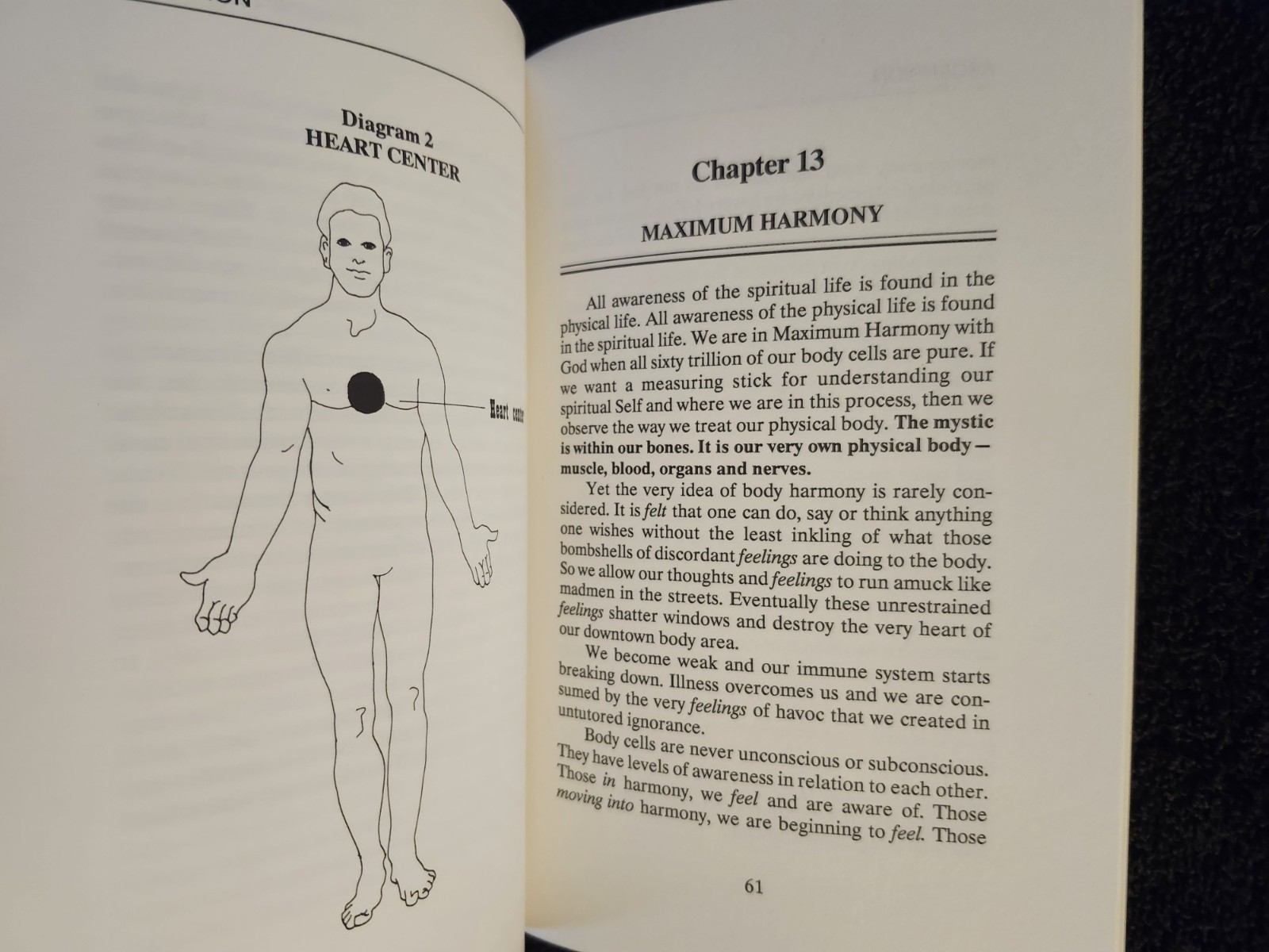 ASCENSION Beginner’s Manual By Theodore Baroody 1989 1st Ed New Age Spiritual PB