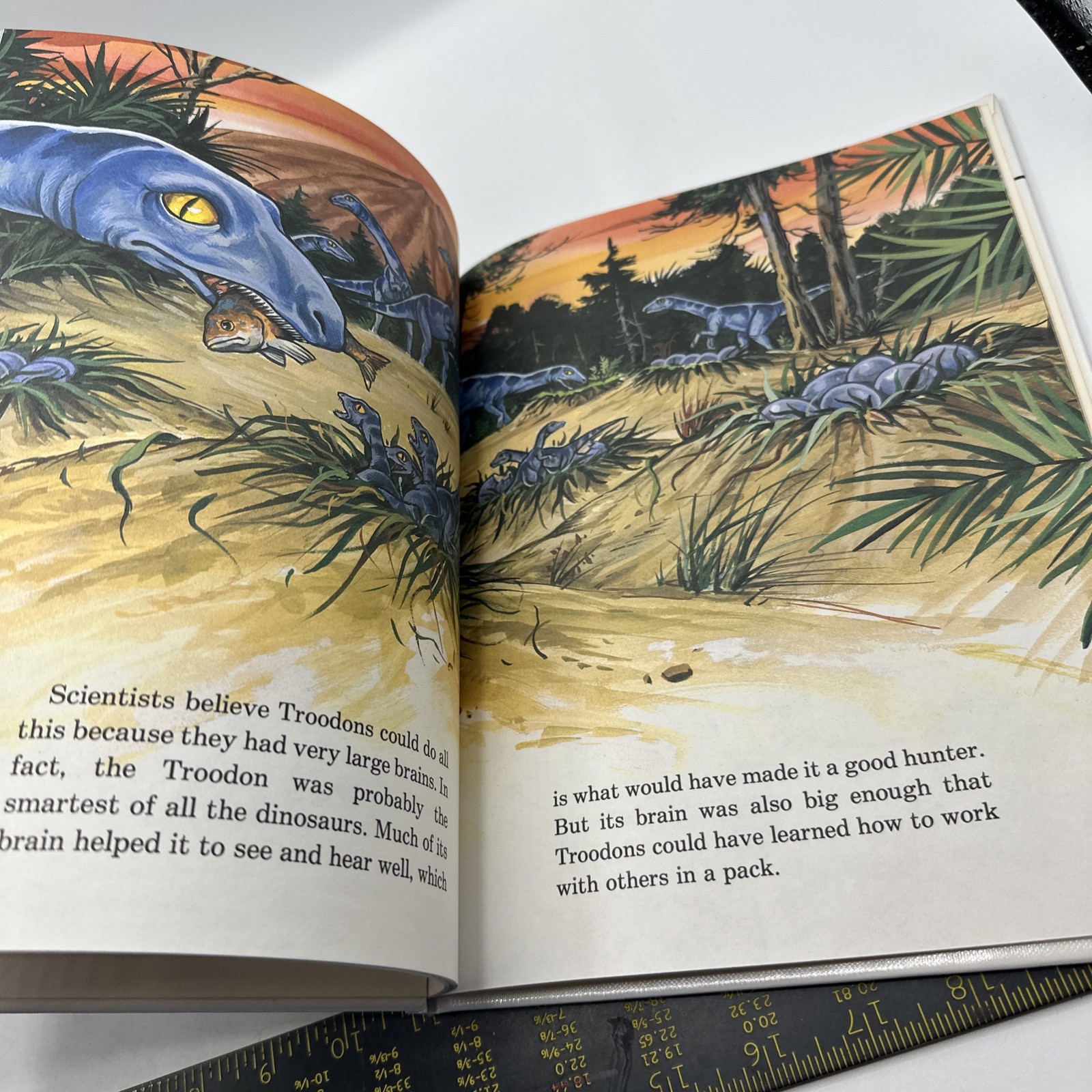 Dinosaur Hardcover Books 1991 Janet Riehecky The Child’s World Series 18 Books