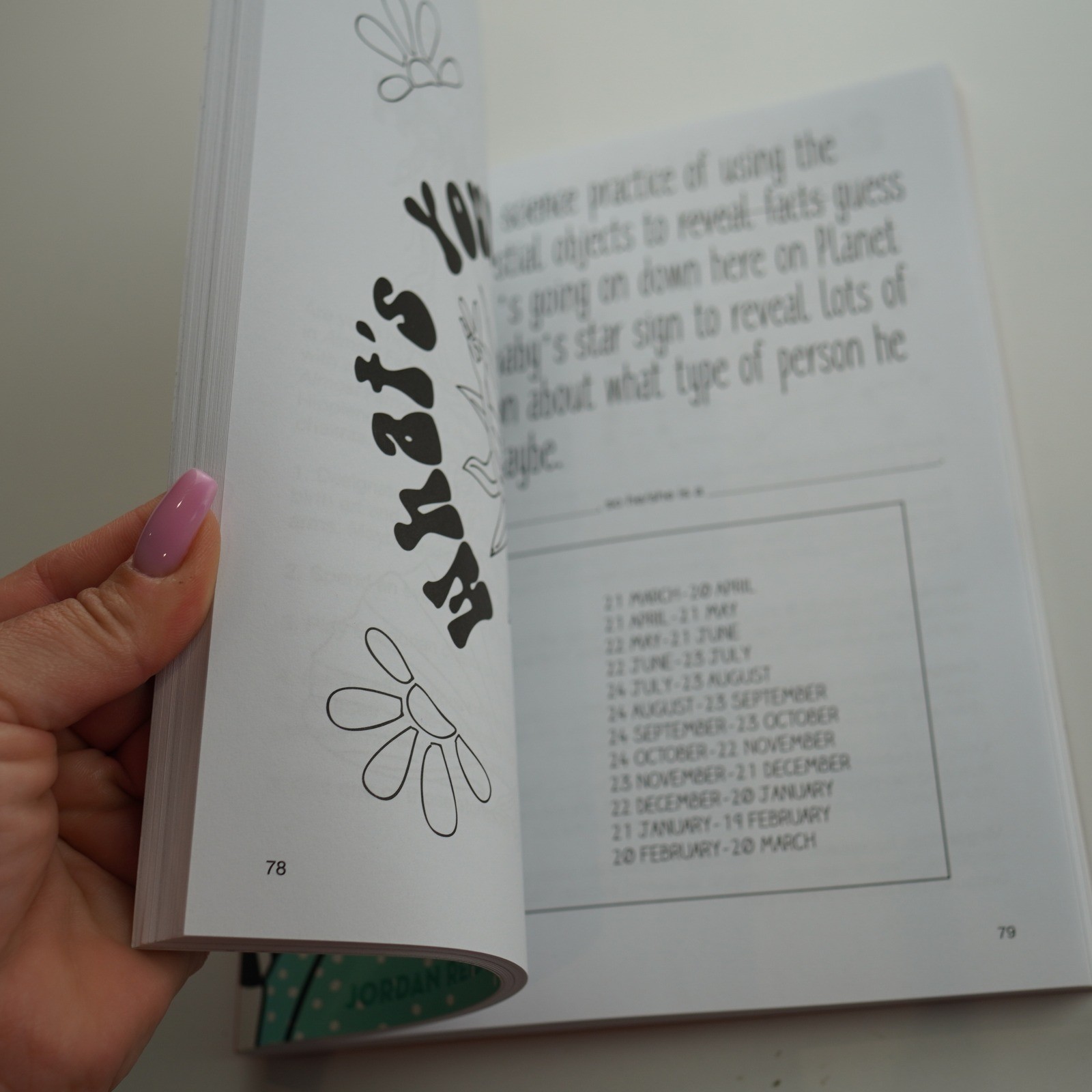 The Big Fat Activity Book For Pregnant People, Jordan Reid & Erin Williams