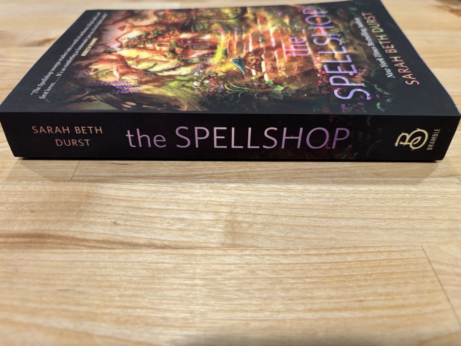 The Spellshop Sarah Beth Durst Paperback Fantasy Romance Novel Book