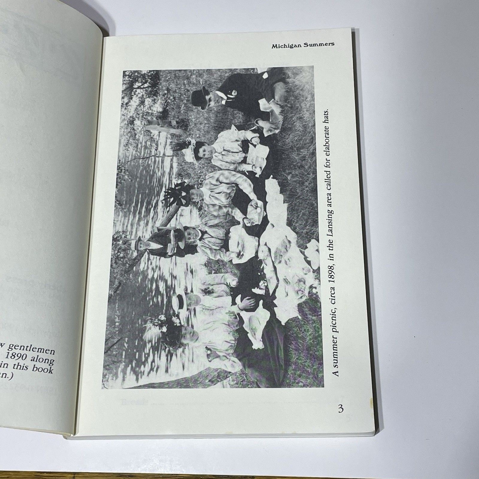 1990 Vintage Michigan Summers : Tales and Recipes by Carole Eberly