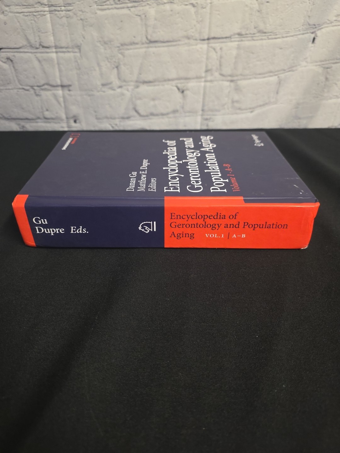 Encyclopedia of Gerontology and Population Aging Volume 1: A-B English Hardcover