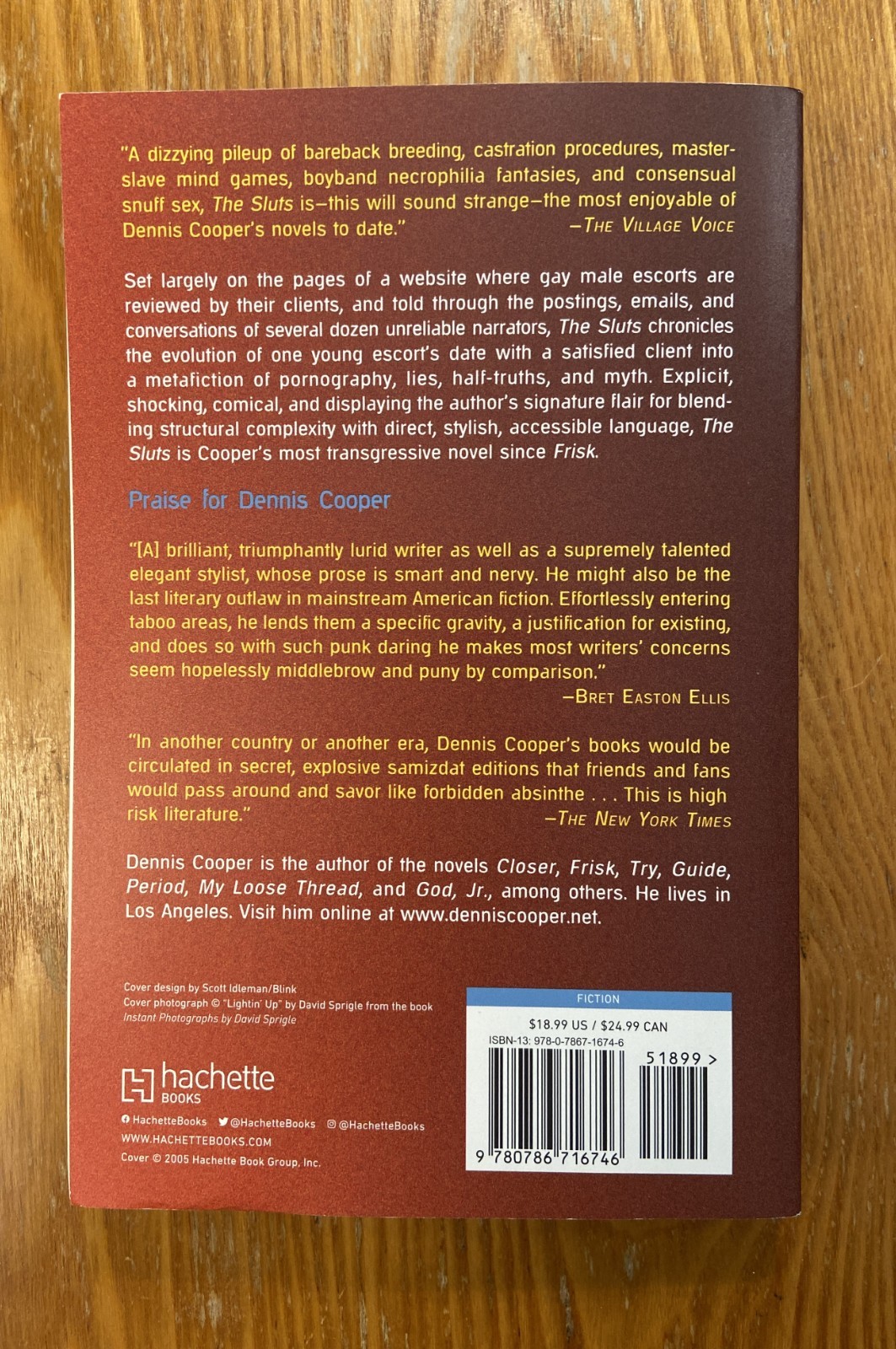 The Sluts Dennis Cooper SC 2005 Novel Gay Interest
