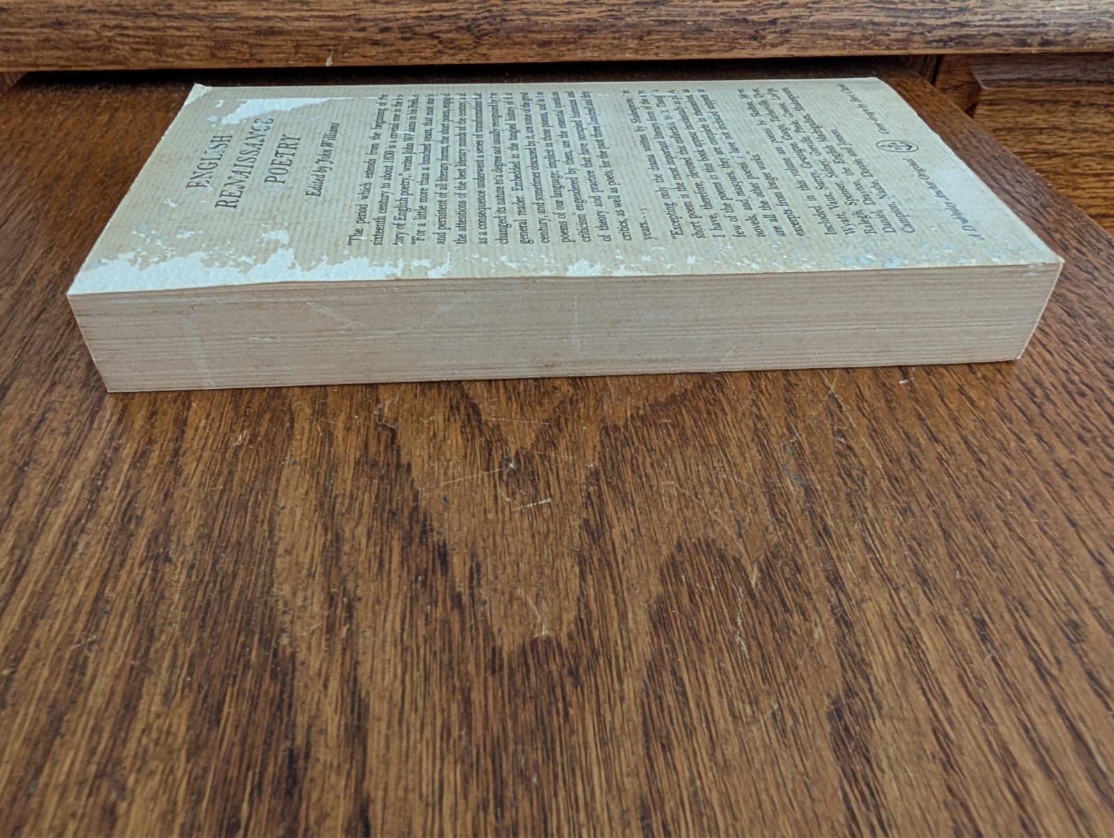 English Renaissance Poetry; John Williams 1963 Anchor Books Paperback