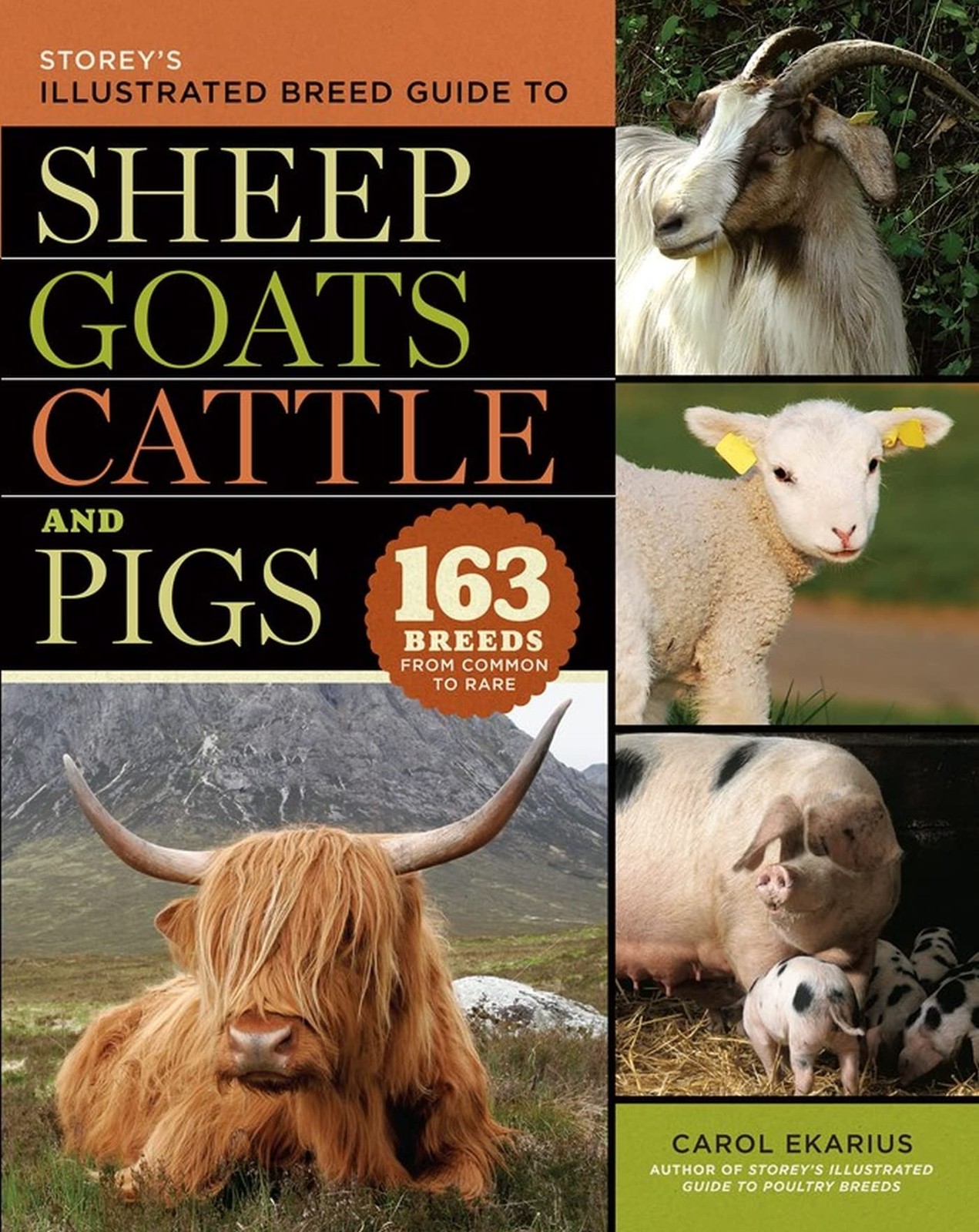 Storey’s Illustrated Breed Guide to Sheep, Goats, Cattle and Pigs: 163 Breed…