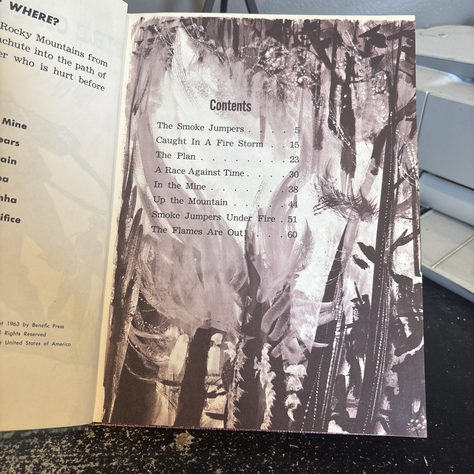 CHILDRENS BOOKS FIRE ON THE MOUNTAIN 1963 BAMMAN WHITEHEAD HARDCOVER Smoke Jump