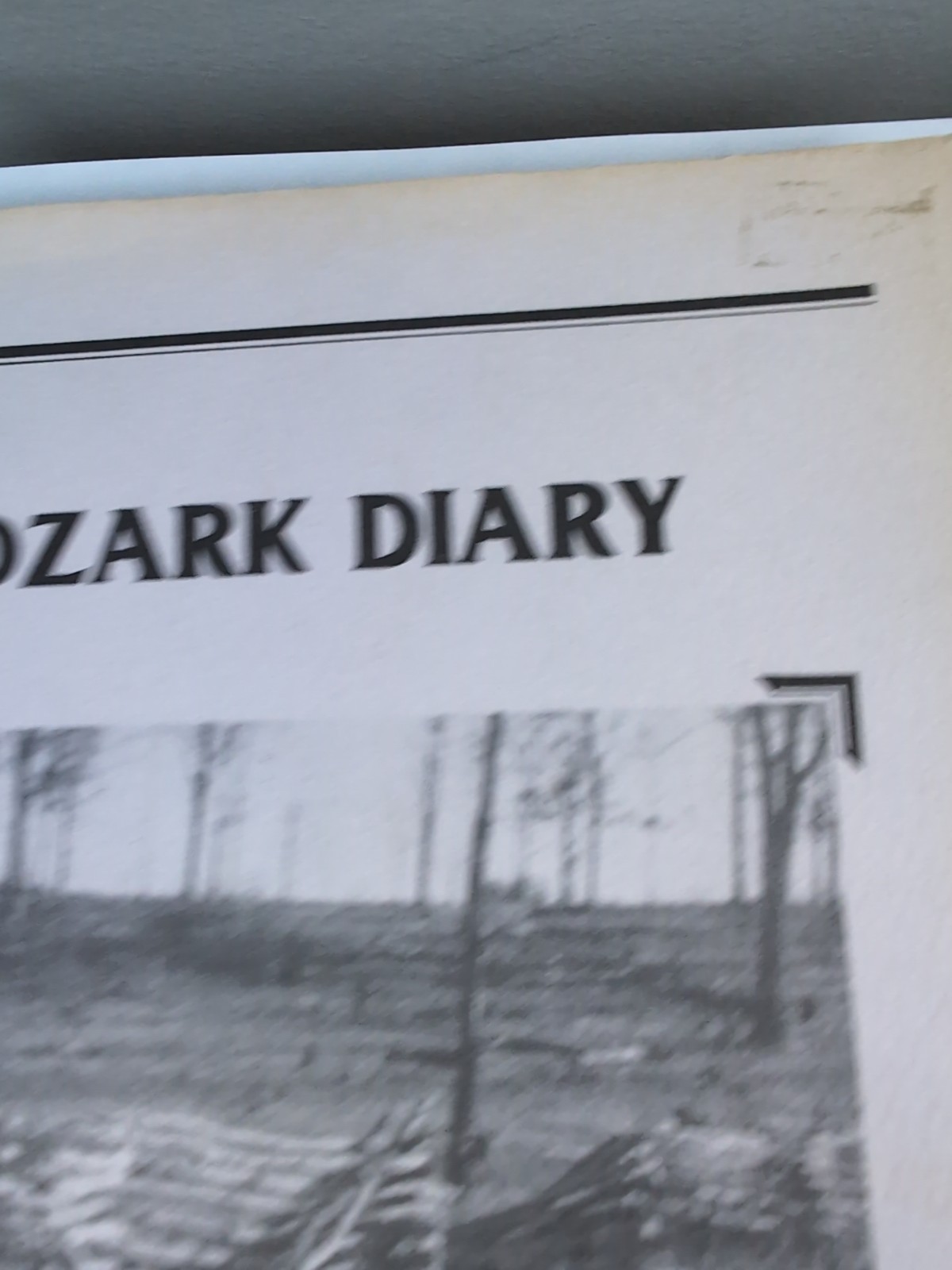 Ozark Diary By Minnie J. Sellens 1984, Privately Printed. Unique Book