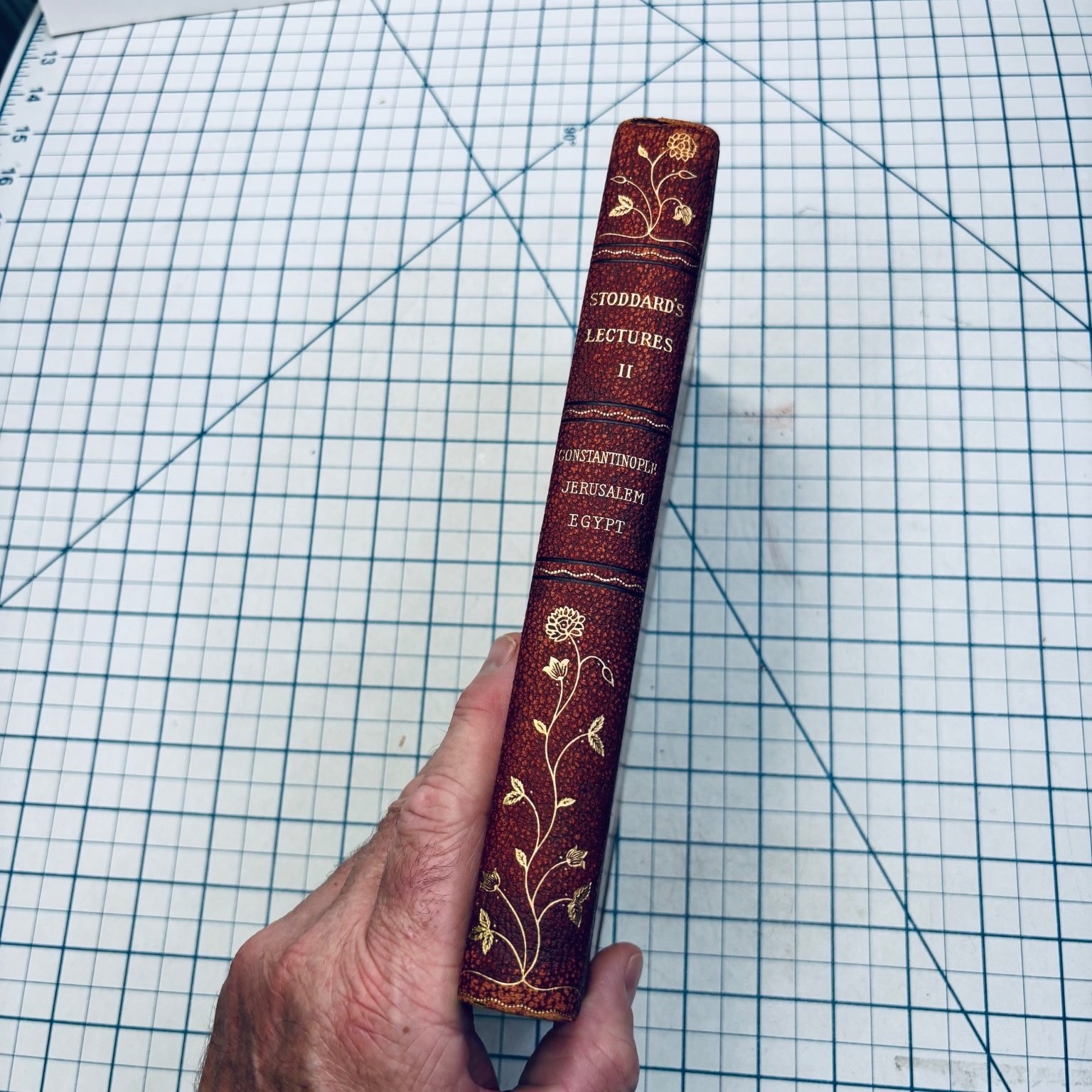 Stoddard’s Lectures Vol 2 John L. Stoddard 1909 Illustrated Travel Religion