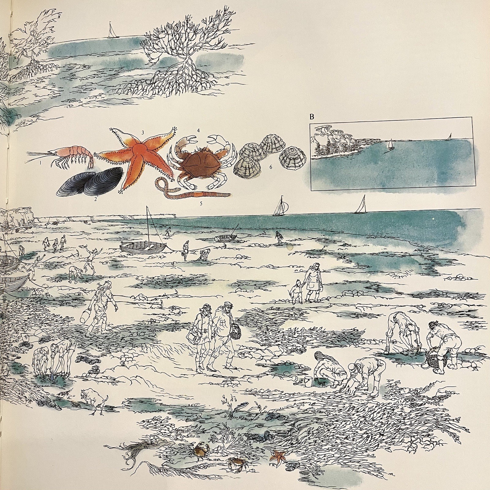 ‘The Lore of Sportfishing’ by Tre Tryckare, E. Cagner; 1976 First U.S. Edition