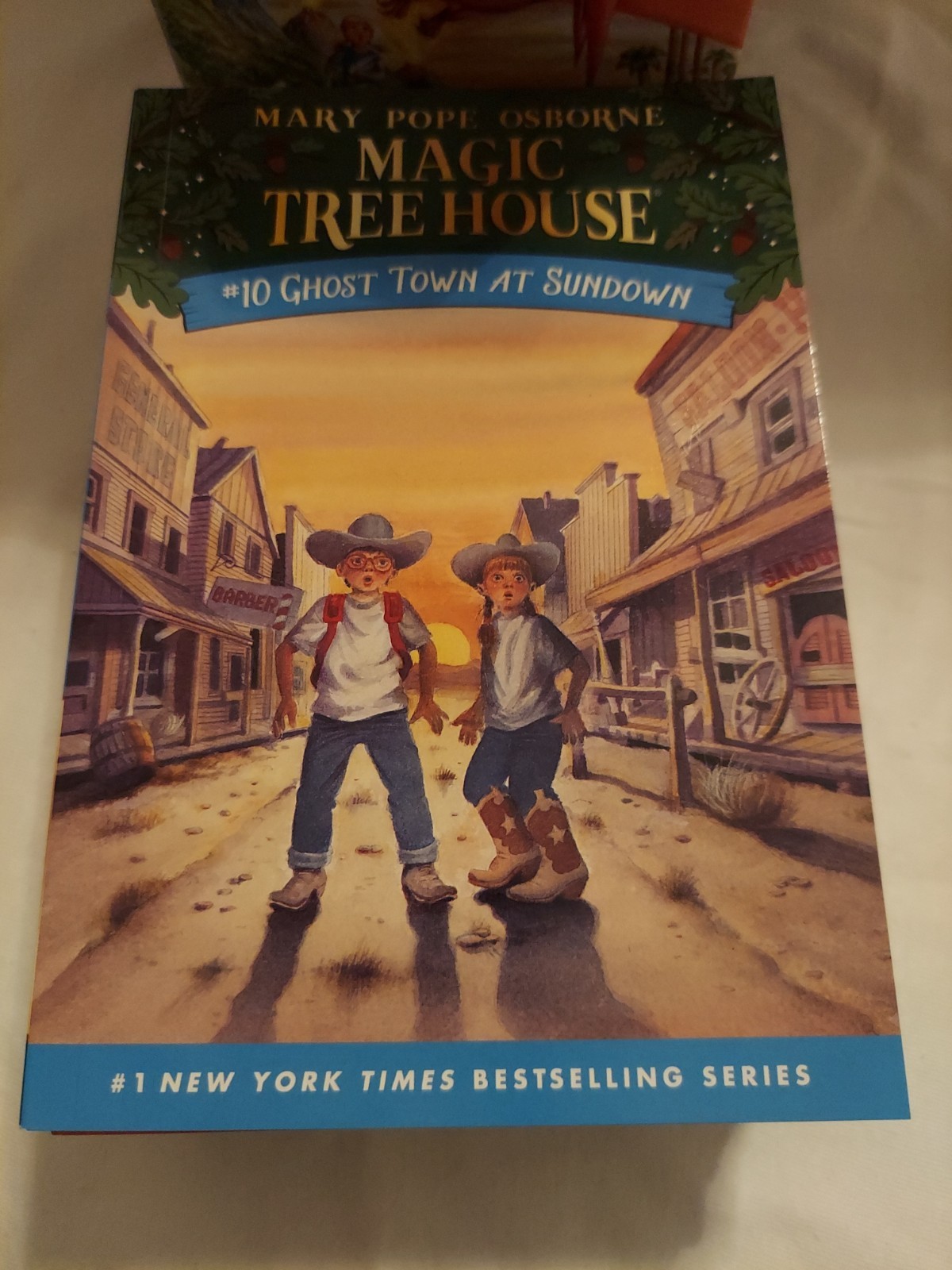 Magic Tree House Boxed Set – See Photographs For Titles !!!