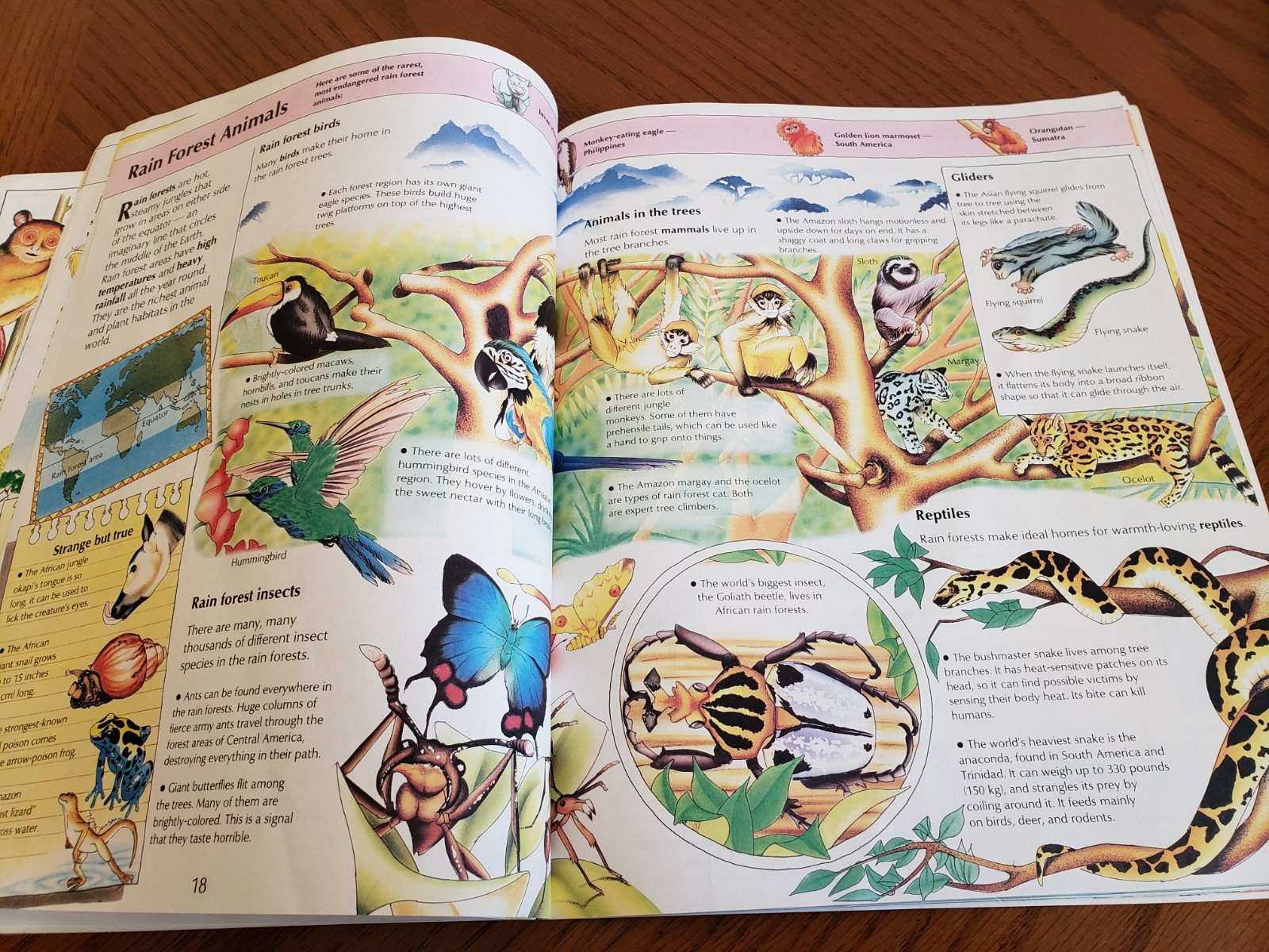 Lot of 9 Children’s books ~ Sea Animals, Wild Animals, Horses, etc