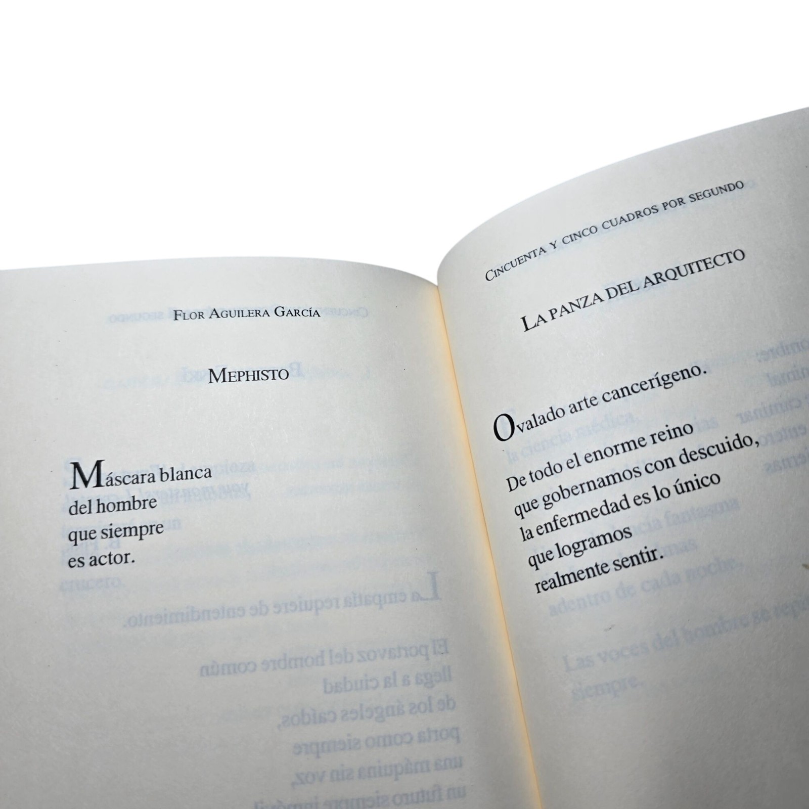 Cincuenta y Cinco Cuadros Por Segundo Flor Aguilera Garcia Poetry Mexican Poems