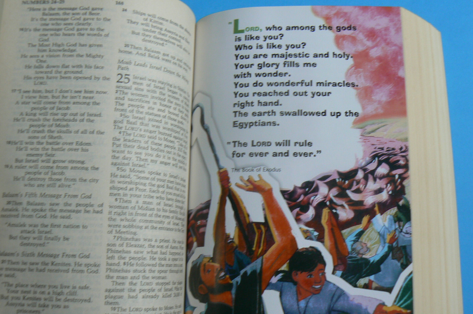 HOLY BIBLE New International Reader’s Version, NIrV Children’s Bible, All Clean!