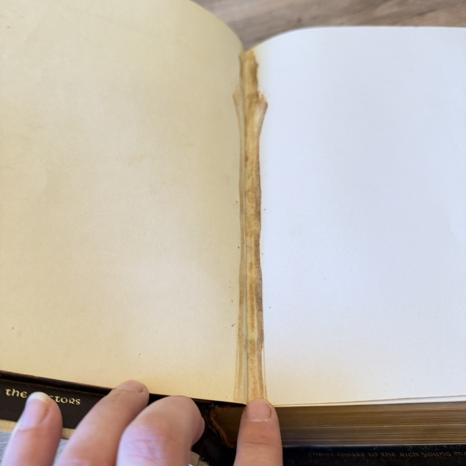 1960 Holy Angels Edition Catholic Holy Bible White Illustrated Vintage Antique
