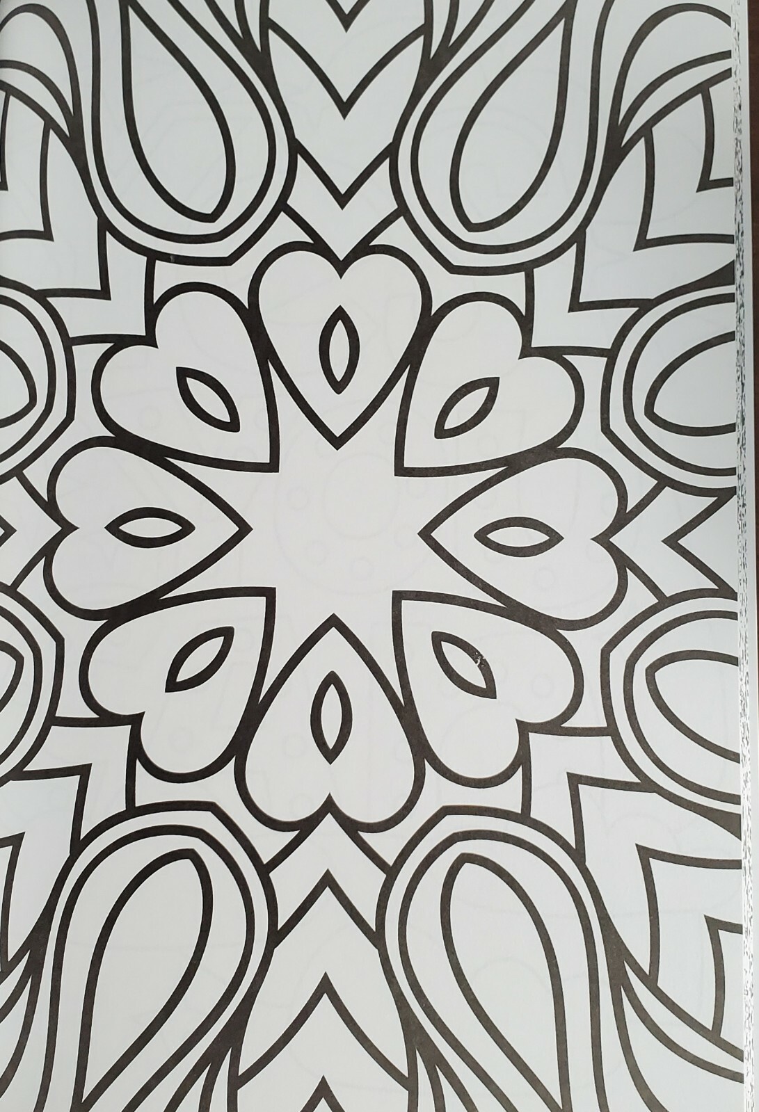 Color Your World:  Adult Coloring Book – tear-Out Pages NEW gift idea FREE SHIP