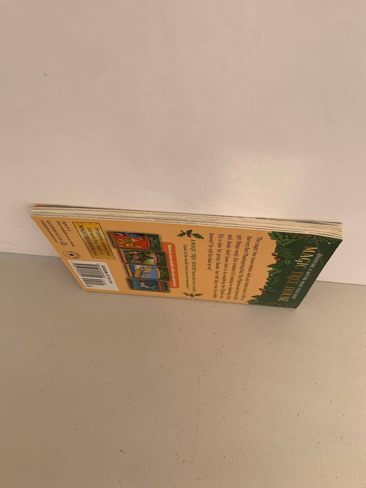Magic Tree House #27 Thanksgiving On Thursday