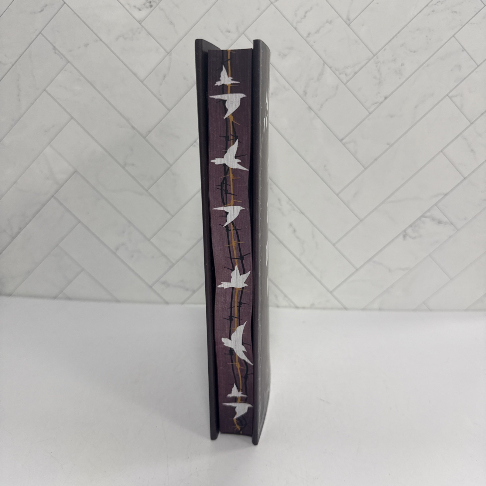 To Cage A Wild Bird By Brooke Fast Allurial Special Edition Edges Hardcover
