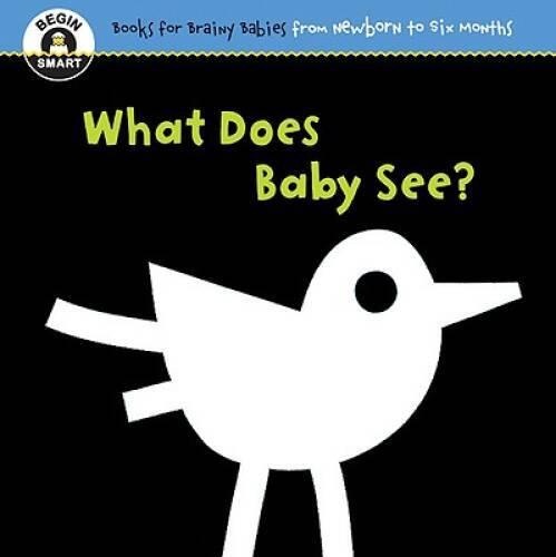 Begin Smart: What Does Baby See? For Ages 0-6 Months – Board book – GOOD
