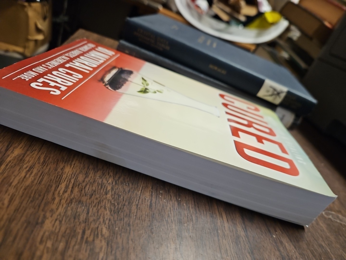 Cured 81 Natural Cures Book For Cancer Diabetes Alzheimer’s 2019