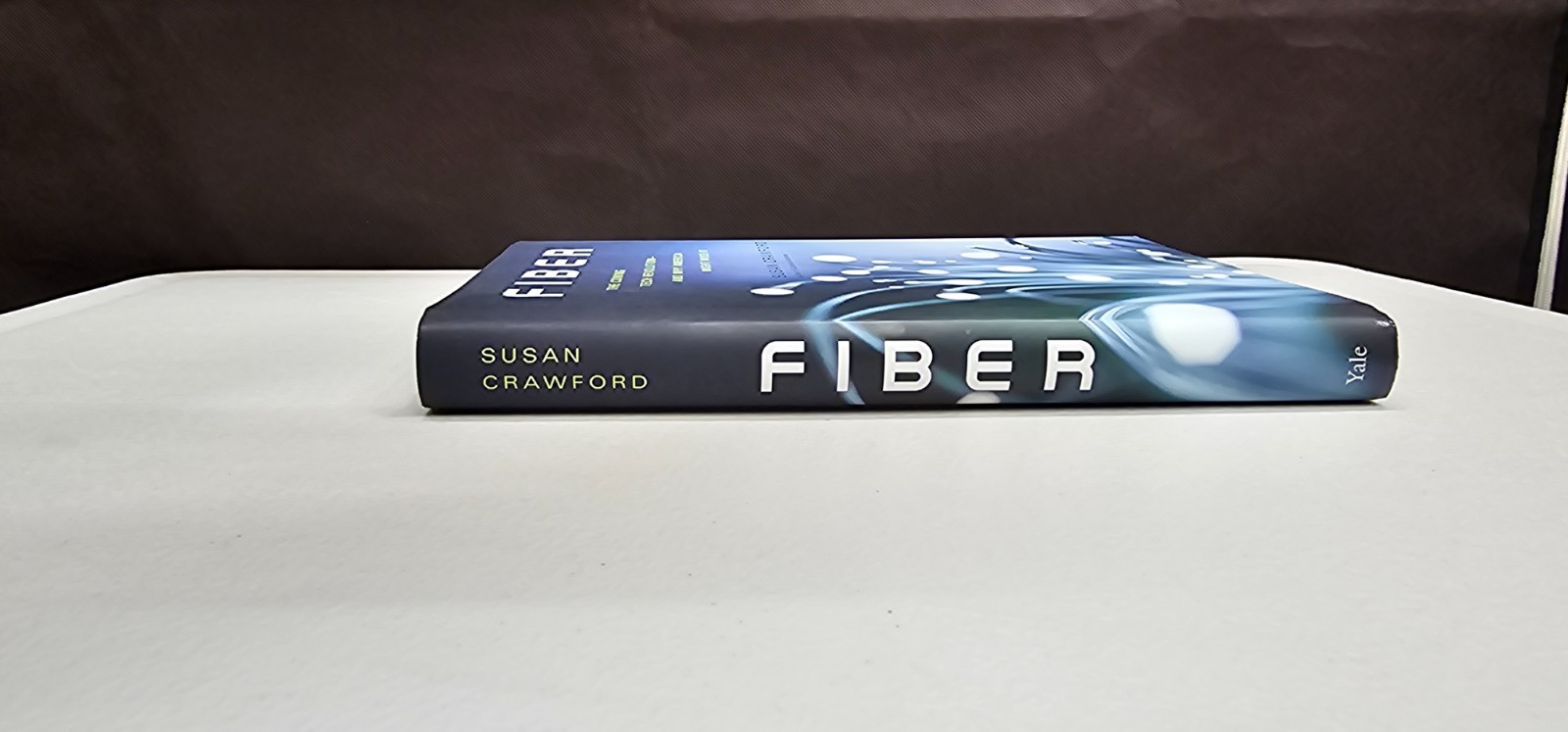 Fiber: The Coming Tech Revolution―and Why America Might Miss It