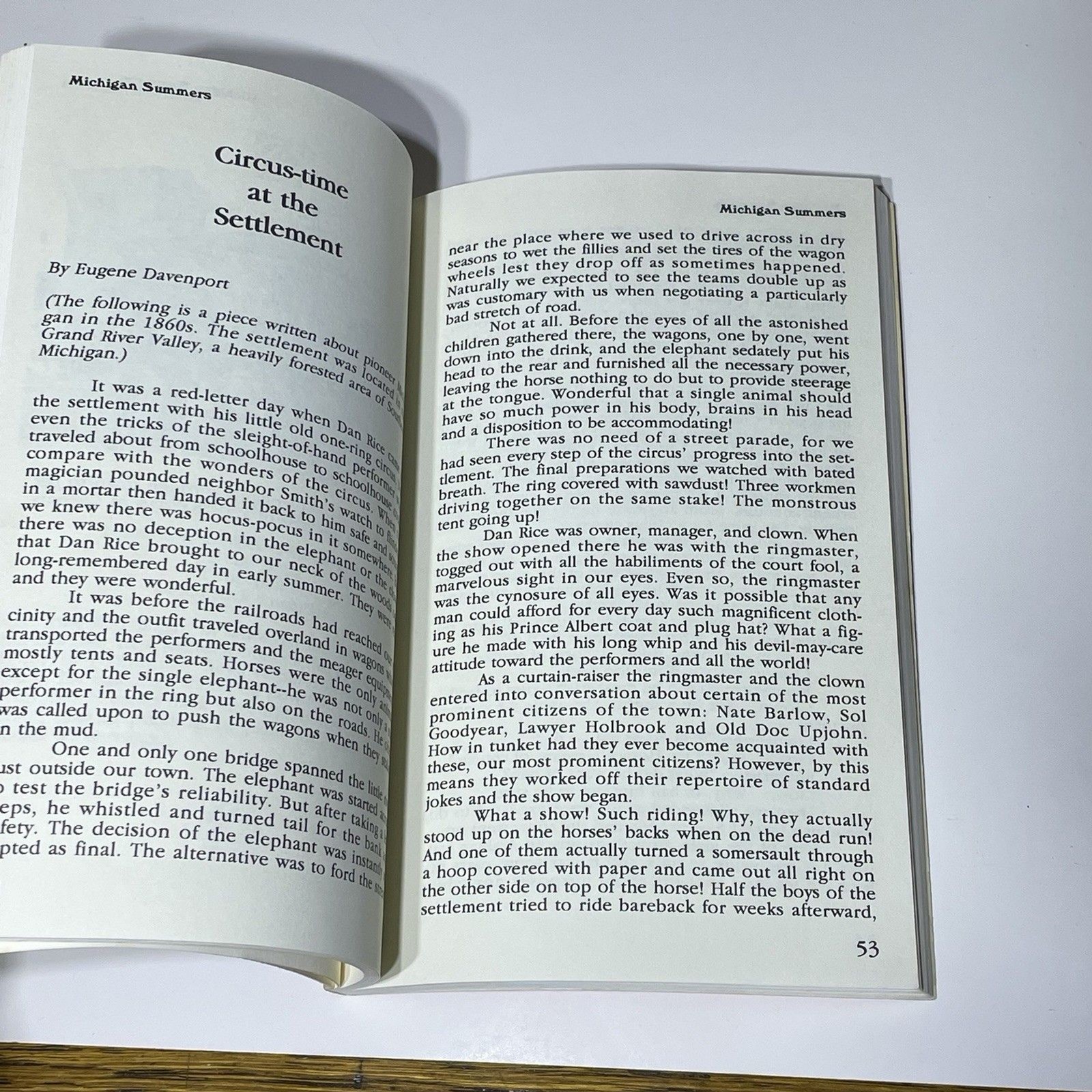 1990 Vintage Michigan Summers : Tales and Recipes by Carole Eberly