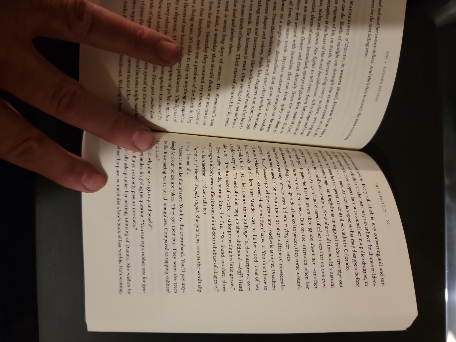 The Overstory: A Novel – Paperback By Powers, Richard – GOOD