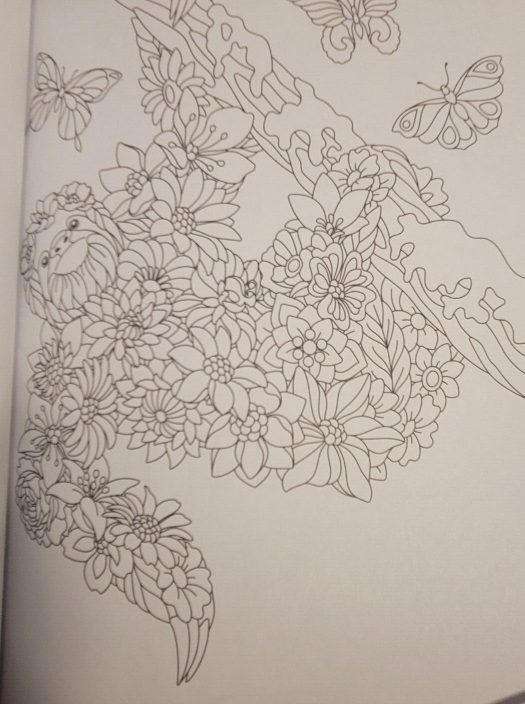 COLOR ME MAGNIFICENT Vol 12 Adult Coloring Book With 47 Prints Ready To Frame