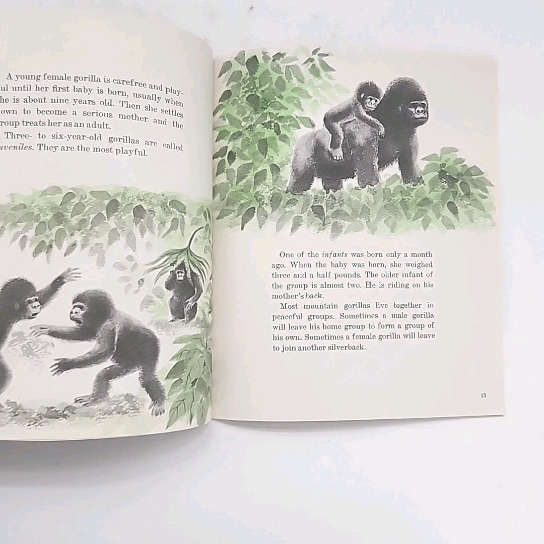 Great Gorillas by Ann McGovern FIRST EDITION 1980 Paperback Book