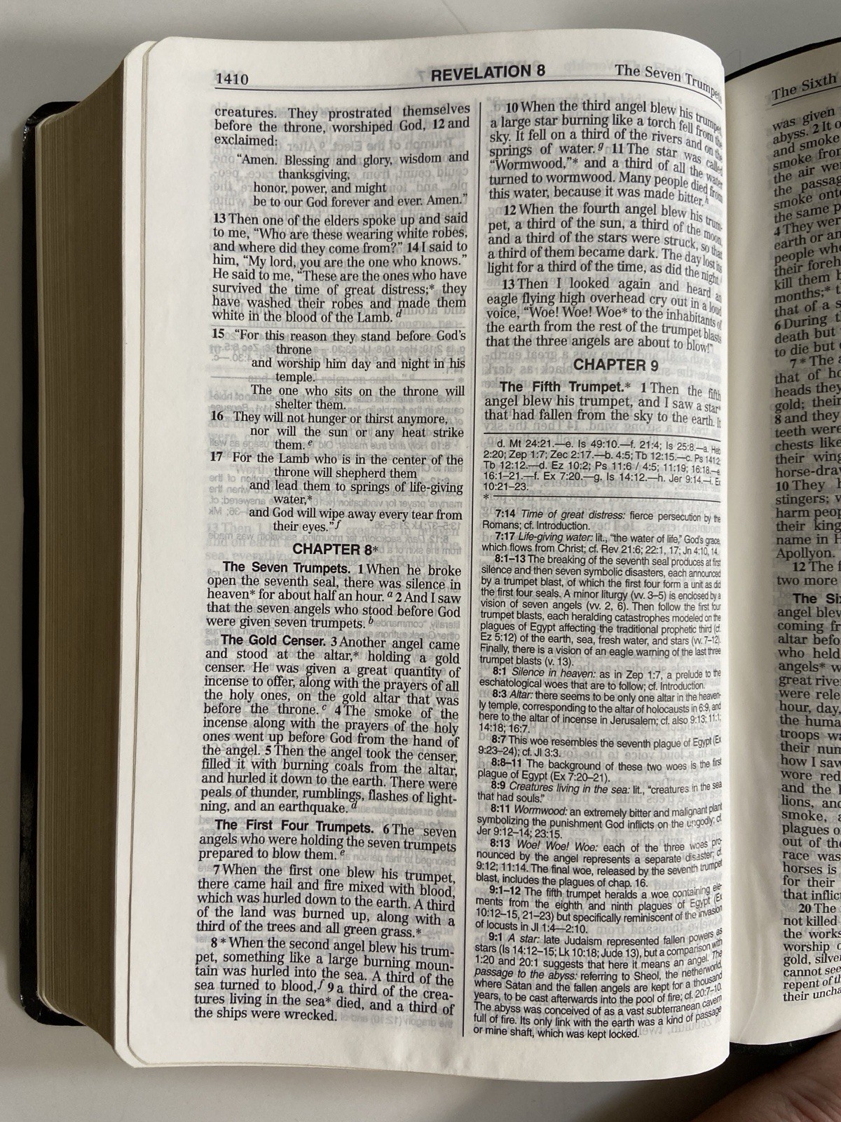 New American Bible Official Catholic Bible Red Letter Edition World Press 2402BL