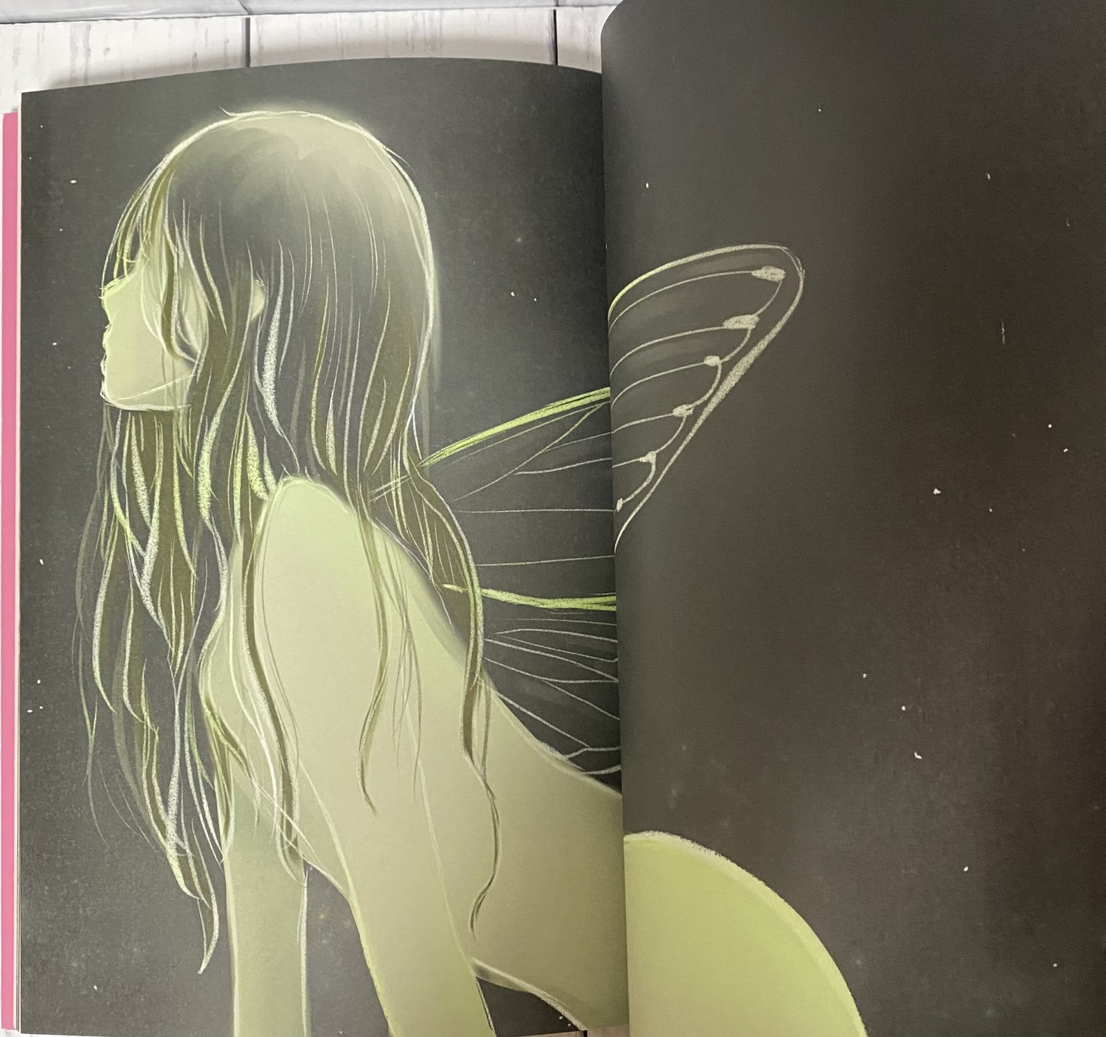 Magical Girl Mizuki Yamamoto Photobook Regular Edition Japan