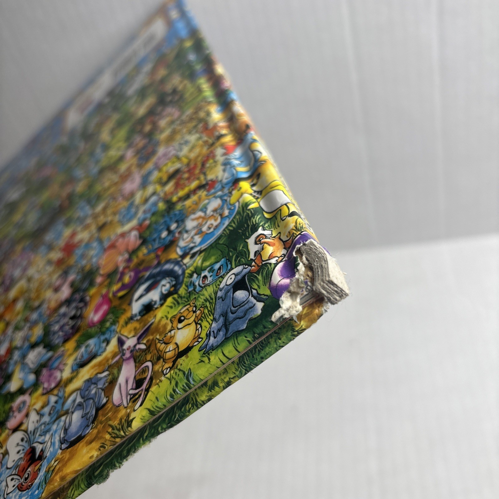 LET’S FIND POKÉMON! GOLD & SILVER Art By Kazuhiro Aihara Hardback Colorful