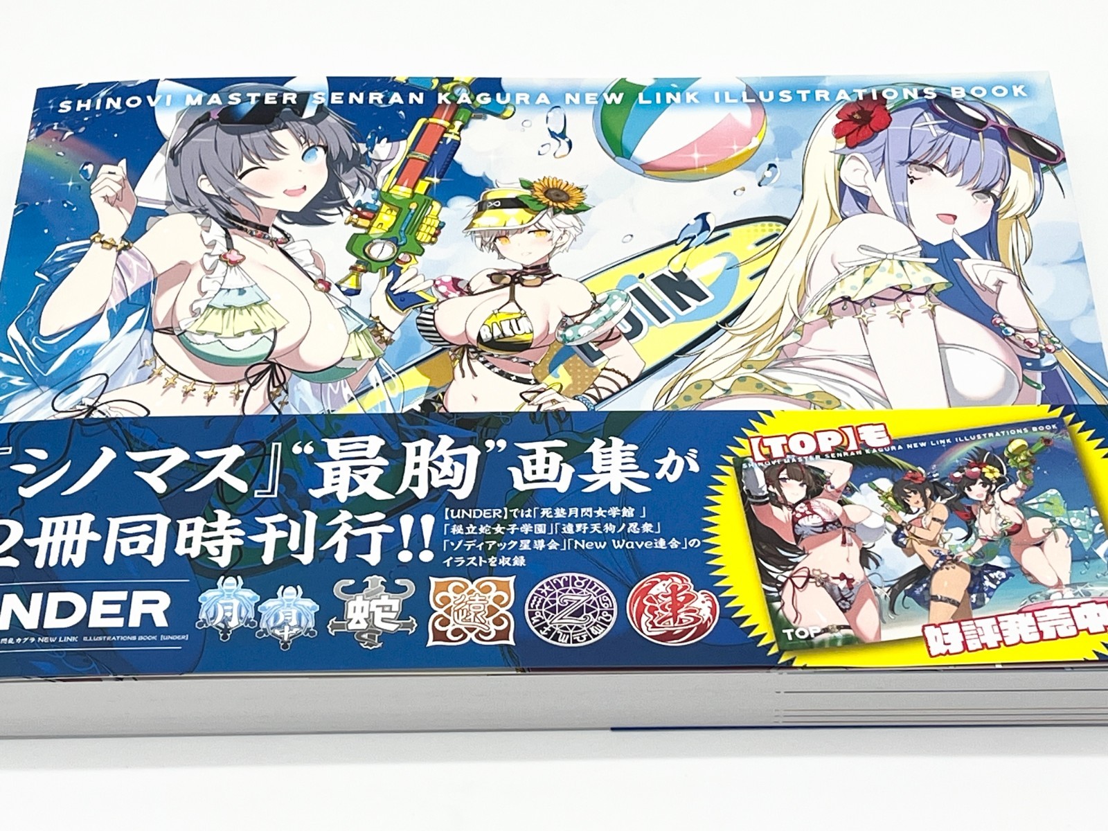 Shinobi Master Senran Kagura New Link Illustrations Book Vol 1-2 Japanese Text