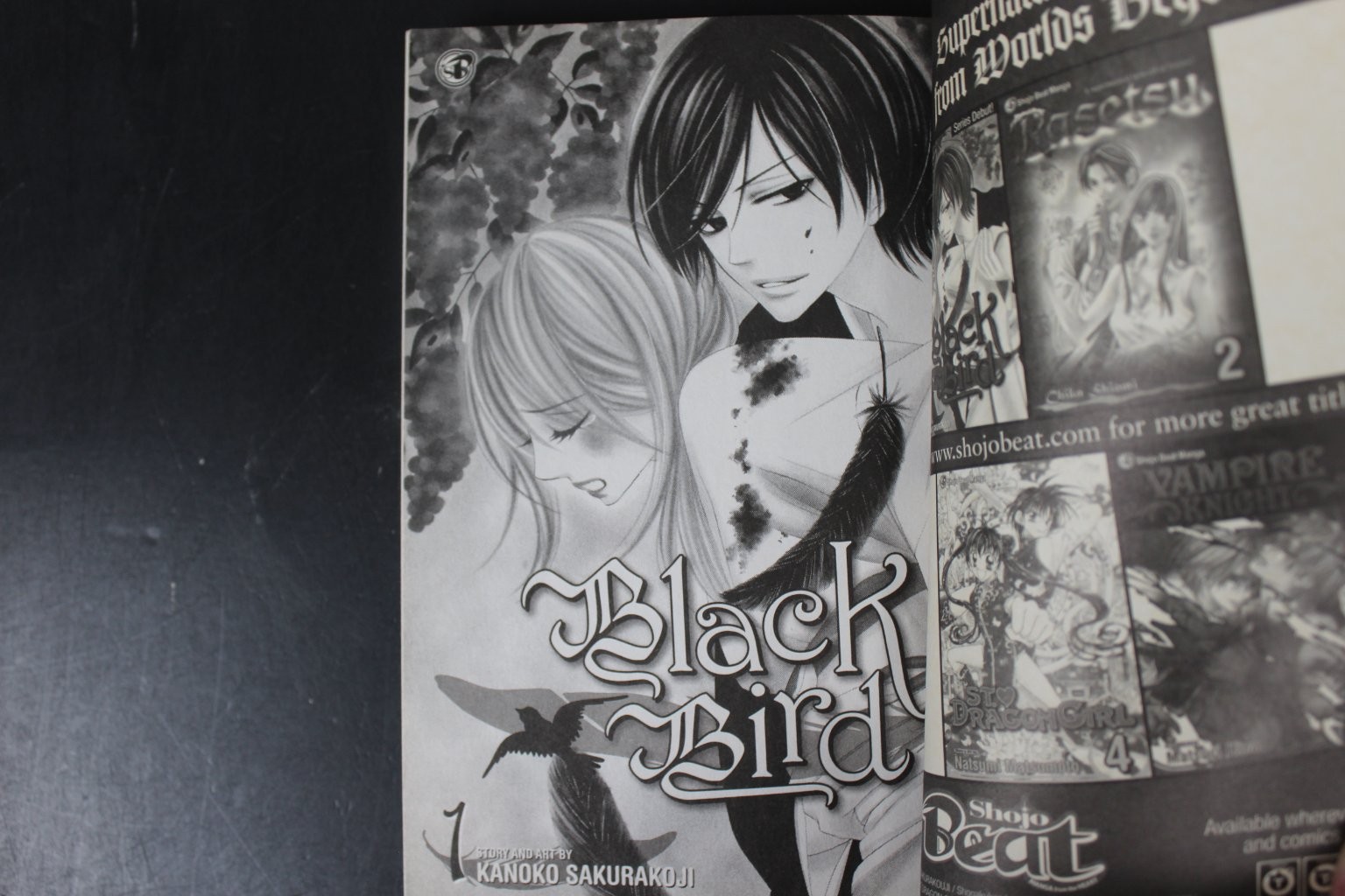 Black Bird, Vol. 1 Kanoko Sakurakoji 2010 Shojo Manga Supernatural VIZ Media VG