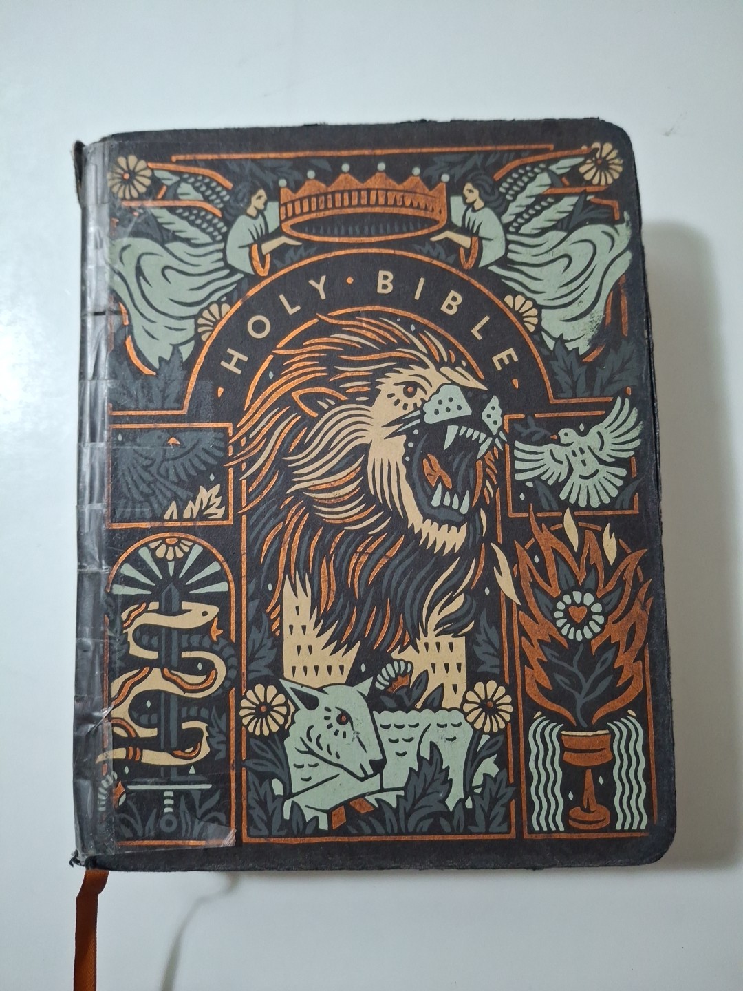 ESV Single Column Journaling Bible, Artist Series, Hardcover, Joshua Noom