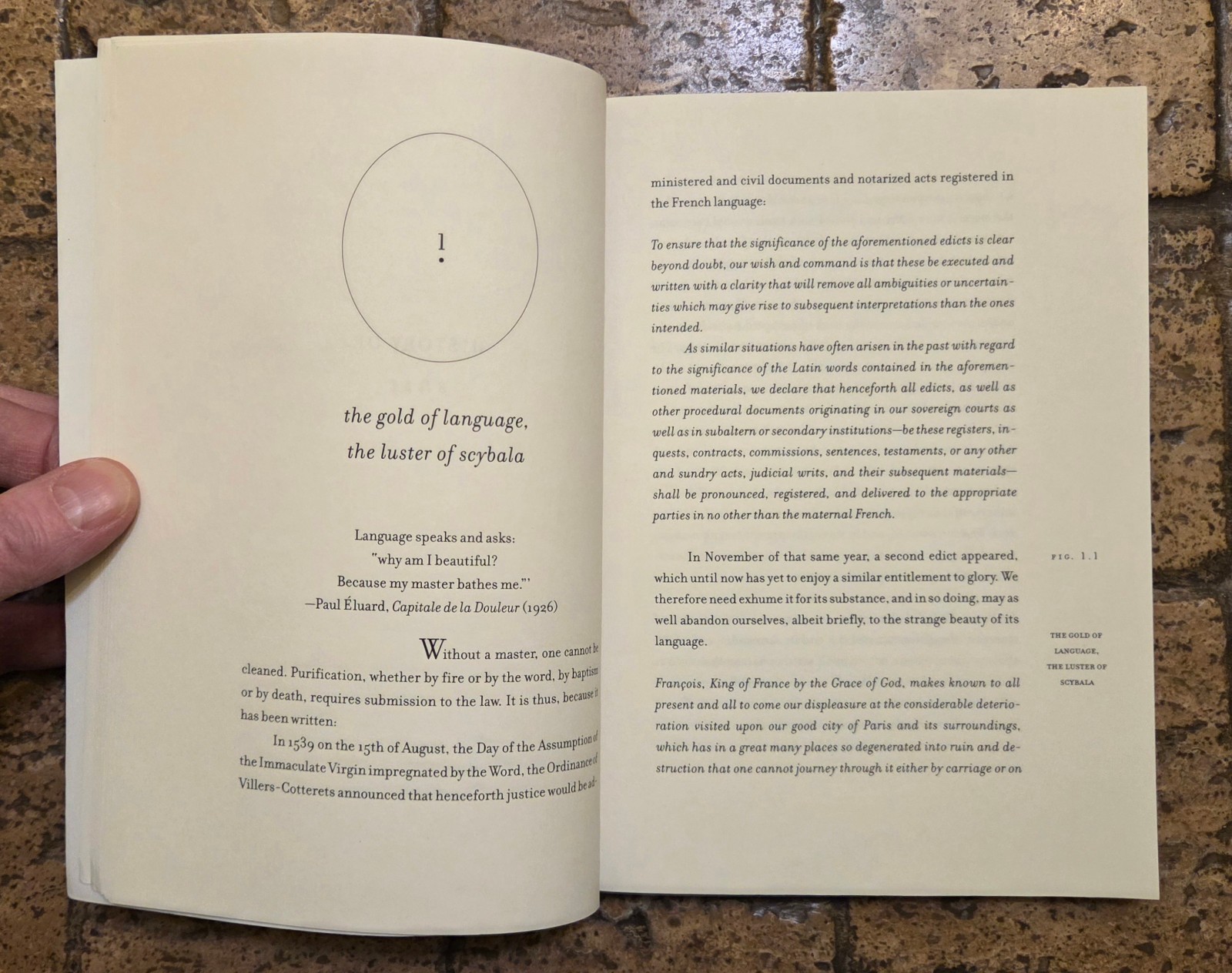 “History of Shit” by Dominique Laporte – PB – The Ultimate Conversation Starter
