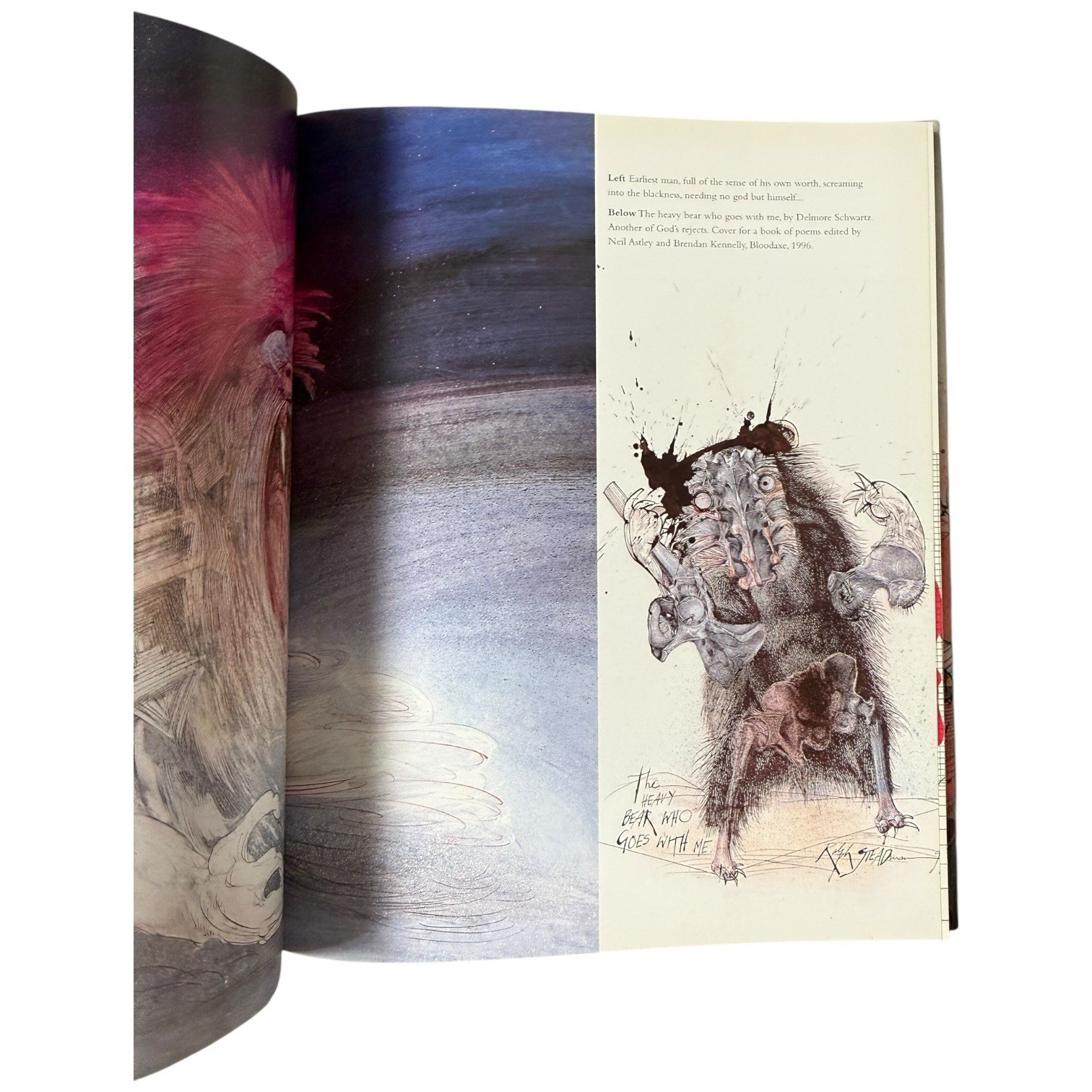 Signed Book Gonzo The Art by Ralph Steadman 1998 Hardcover HCDJ