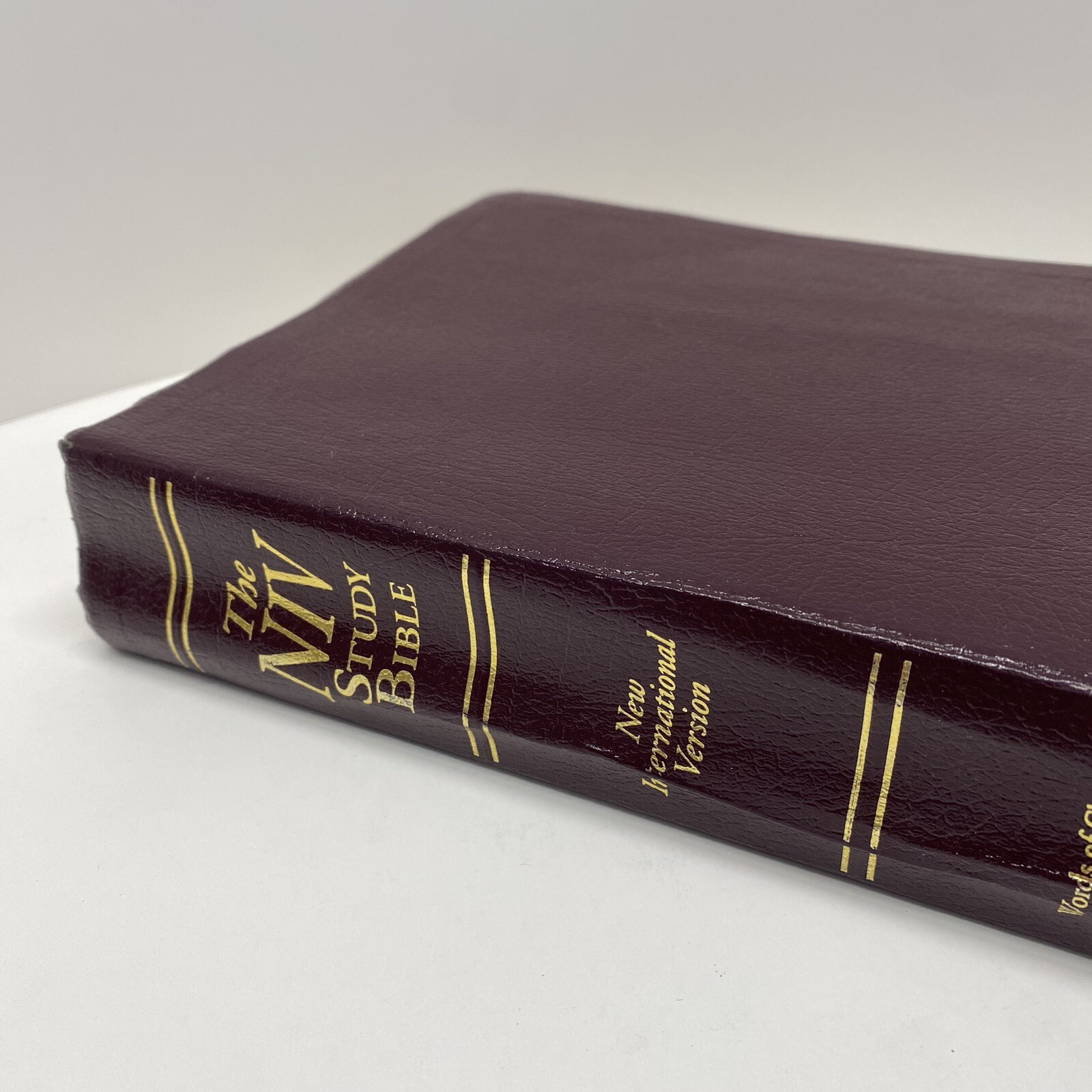 NIV Study Bible 10th Anniversary Edition Burgundy Leather Red Letter Used