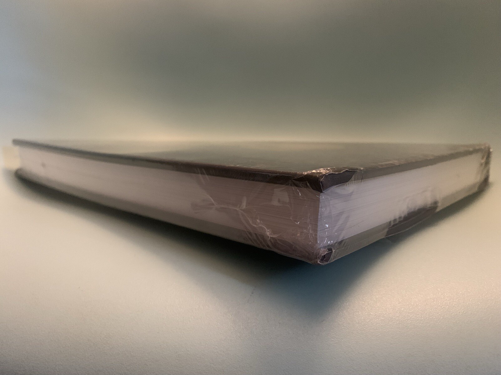 [SEALED] Keeping Shadows – Worcester Art Museum Fine Art Photography LARGE 12×9