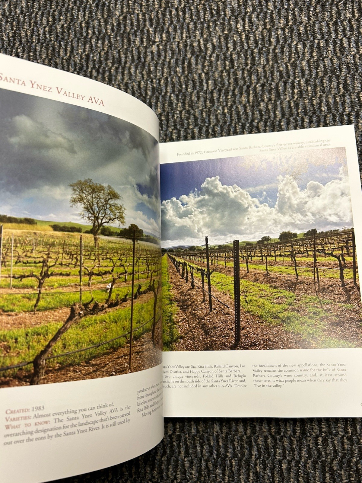Vines & Vision : The Winemakers of Santa Barbara County by Matthew Kettmann