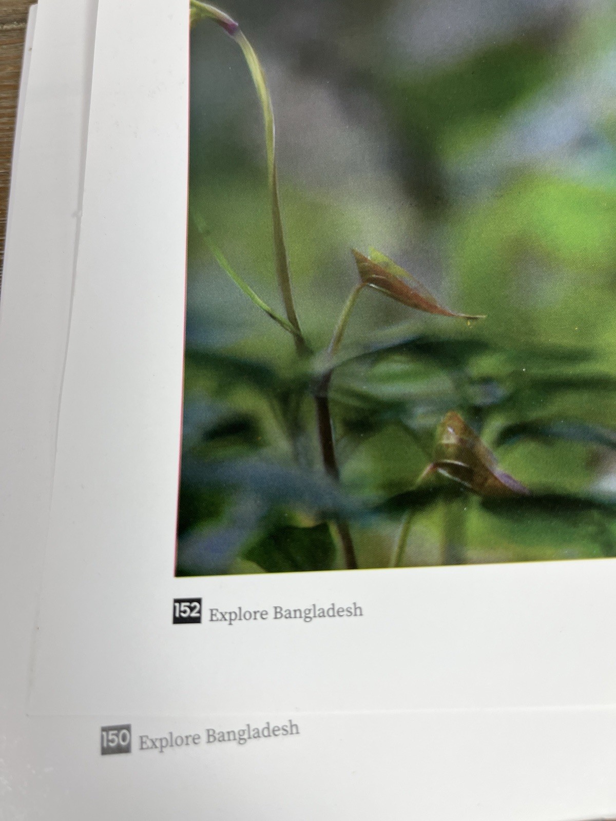 Explore BANGLADESH Coffee Table Book 11”x8” Full Page Photos 152 Pages Hardcover
