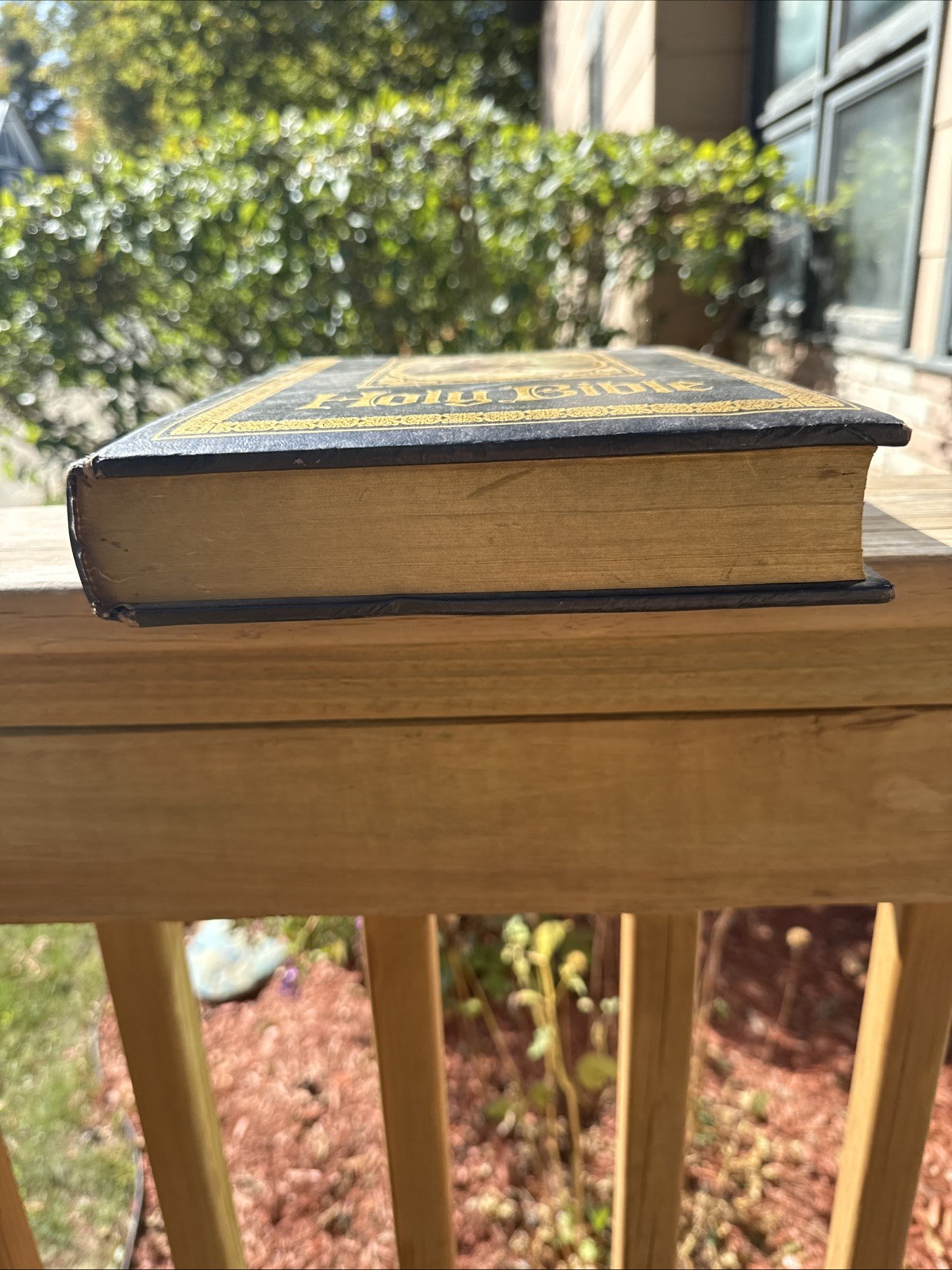 Vintage 1978 Nelson/Regency Family Bible Red Letter KJV Large 8” X 11” Holy Bib
