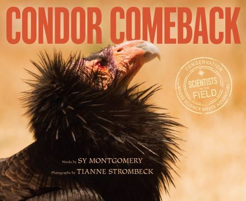 Condor Comeback; Scientists in the Field – 0544816536, Sy Montgomery, hardcover