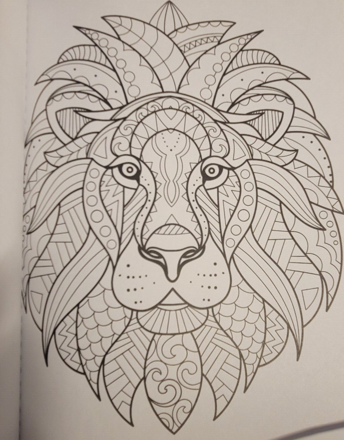 COLOR ME MAGNIFICENT Vol 12 Adult Coloring Book With 47 Prints Ready To Frame