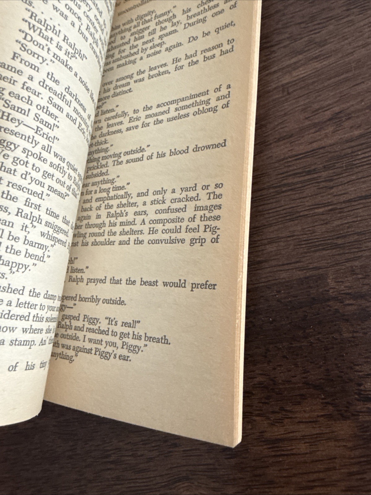 Lord of the Flies William Golding Paperback Vintage Book