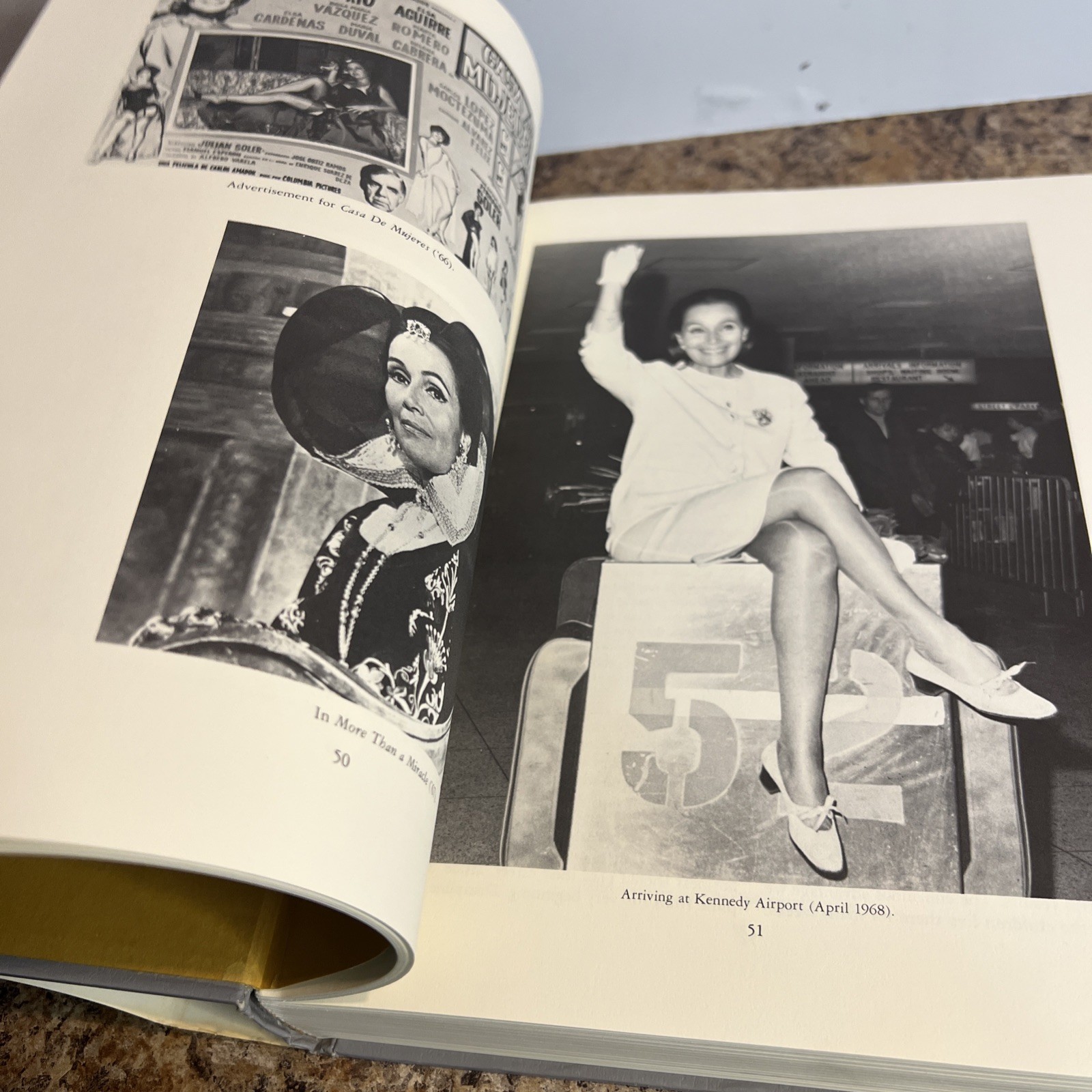 The Hollywood Beauties Hardcover James Robert Parish