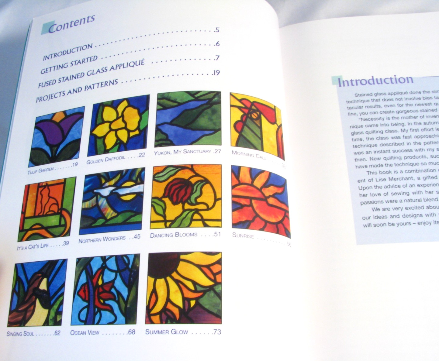 Stained Glass Quilt Applique Pattern Book The Simple Fused Way Paperback Ex Cond