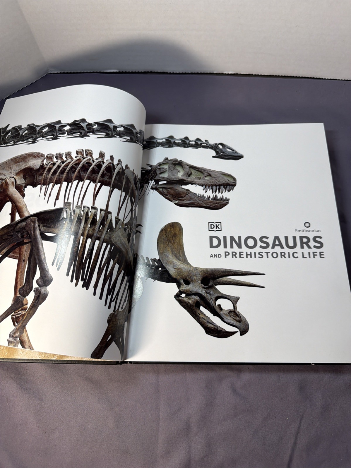 Dinosaurs & Prehistoric Life: The Definitive Visual Guide to Prehistoric Animals