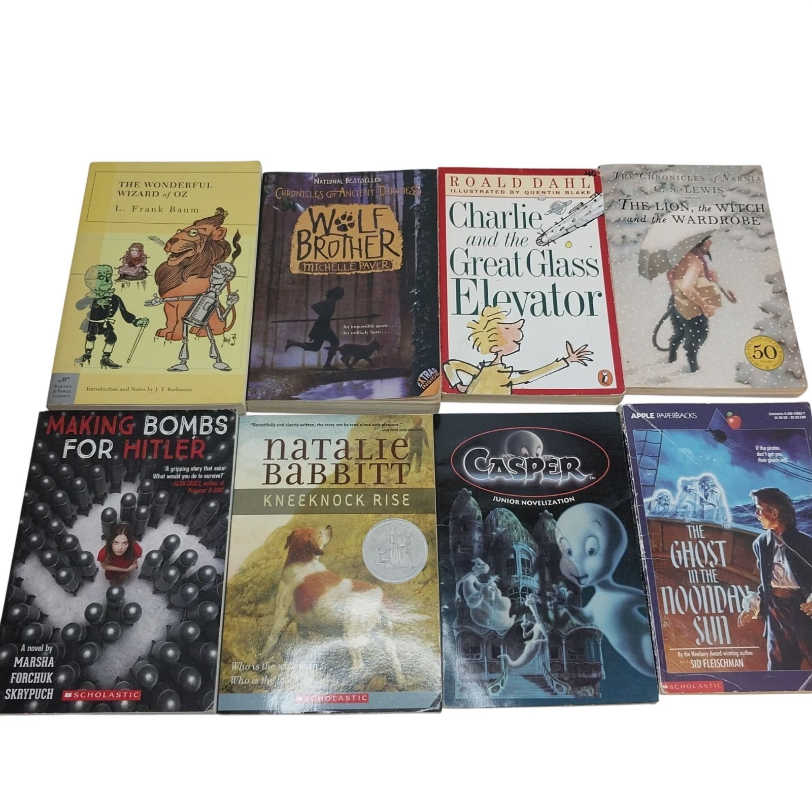 Early Chapter Books Boys Interest Lot of 26 Grade 3-6 Vintage & Modern