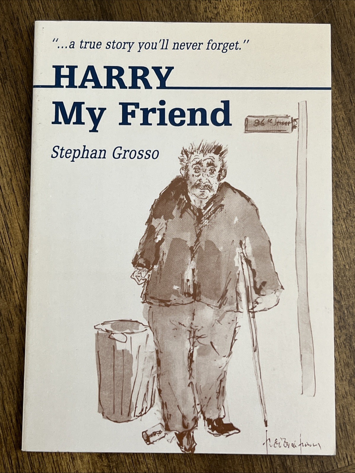 HARRY MY FRIEND Book By Stephan Grosso Liguori Publications Catholic Paperback