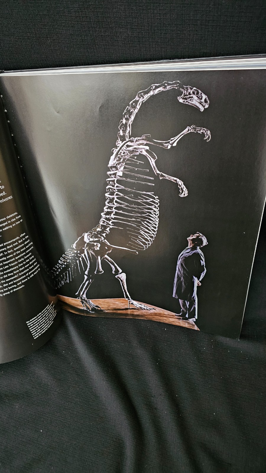 Giant Book Dinosaurs by Steve Brusatte 2008 Quercus 17”x 14”